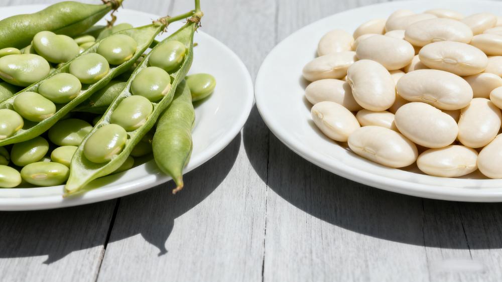 lima vs butter beans