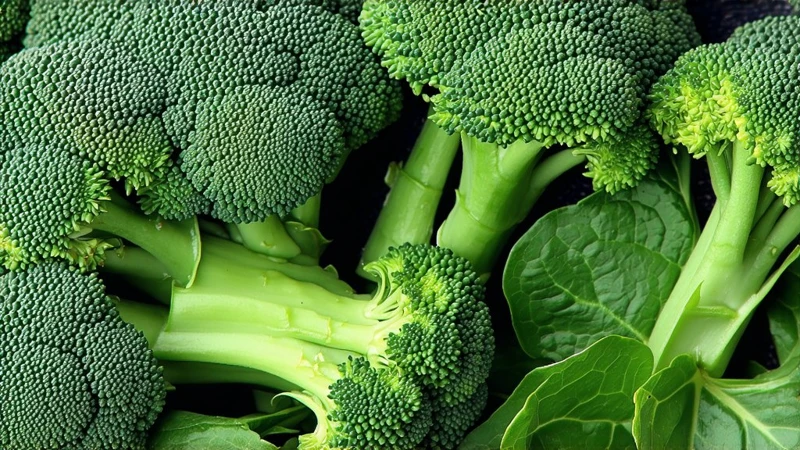 Raw Broccoli vs Spinach