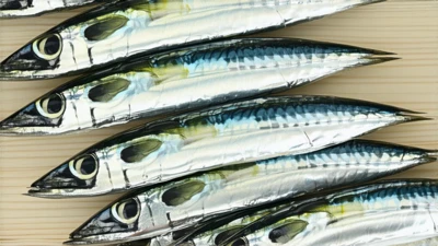 which is better Sardine or Anchovy for cooking versatility