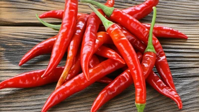 which is better Hot Chili or Cayenne for medicinal purposes