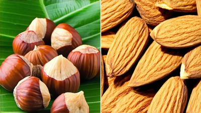 which is better Hazelnuts or Almonds for snacking